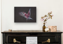 Load image into Gallery viewer, Galah stretched canvas