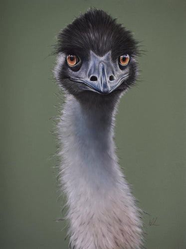 Ed the emu original