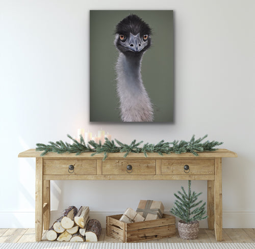 Ed the emu stretched canvas