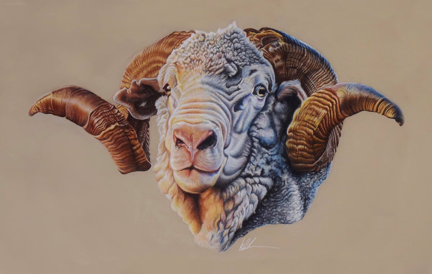 Hay runner ram