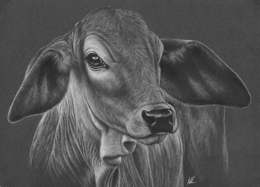 Wrinkly Grass Puppy studio stock