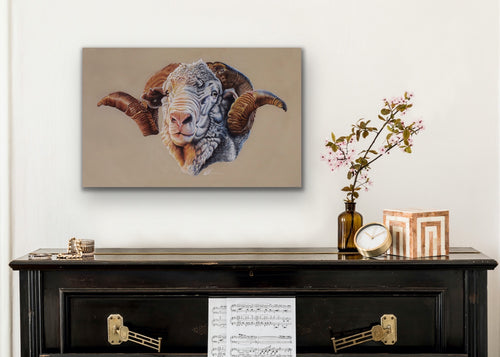 Hay runner ram stretched canvas