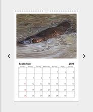 Load image into Gallery viewer, 2022 calendars