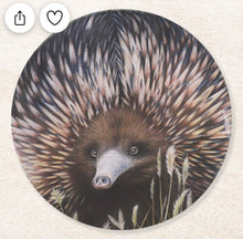 Load image into Gallery viewer, coasters