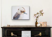 Load image into Gallery viewer, Kookaburra king stretched canvas