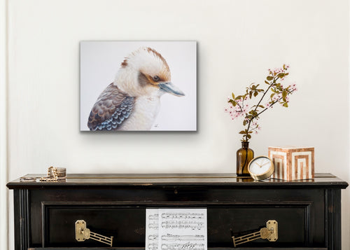 Kookaburra king stretched canvas