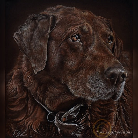 Tara A2 poly fibre canvas print